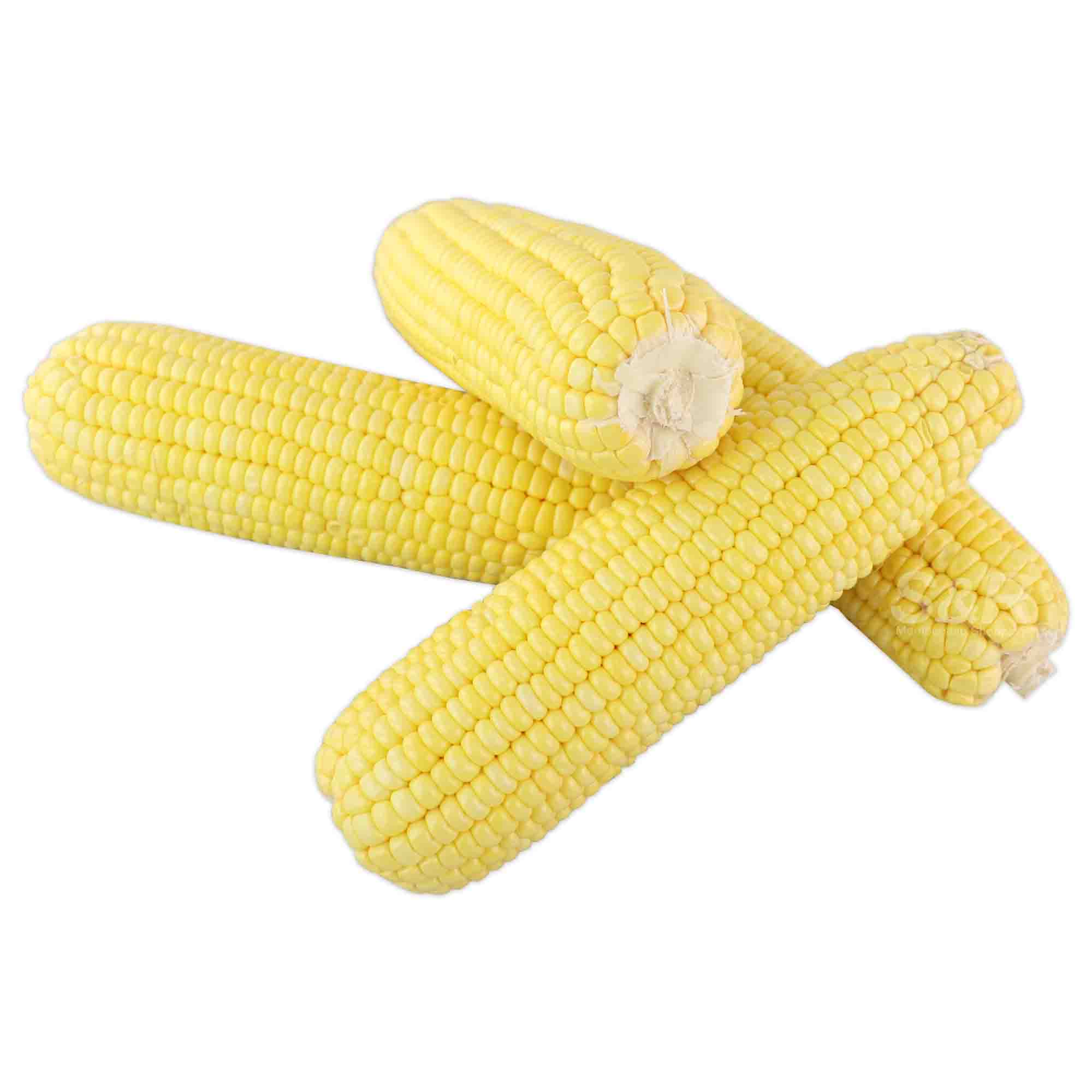 S&R Sweet Corn 4 pcs